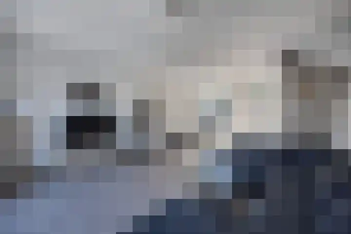 Holbeinstraat 7 Almere thumbnail 6
