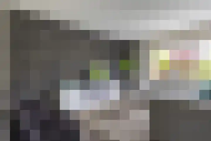 Hollander 10 Wormer thumbnail 10