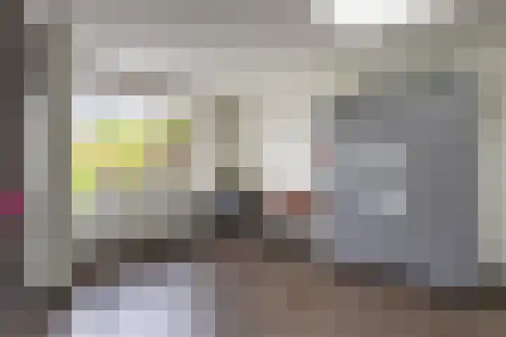 Hollander 10 Wormer thumbnail 13