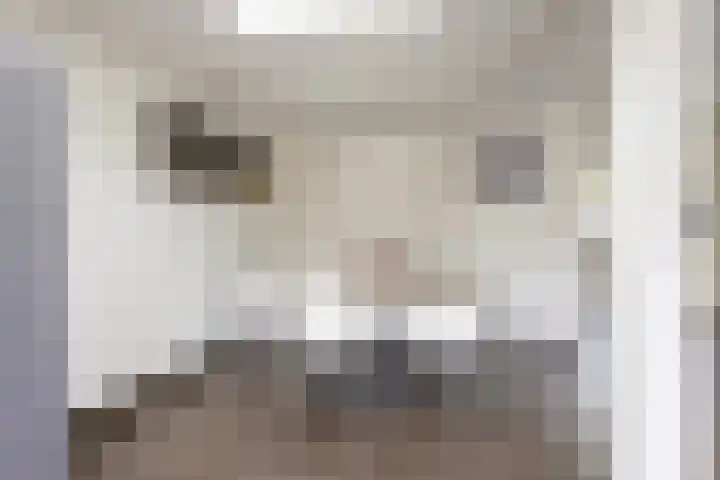 Hollander 10 Wormer thumbnail 14
