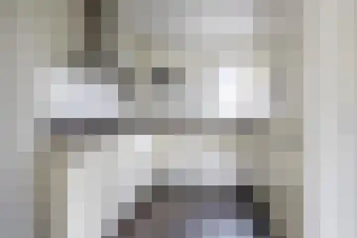 Hollander 10 Wormer thumbnail 15