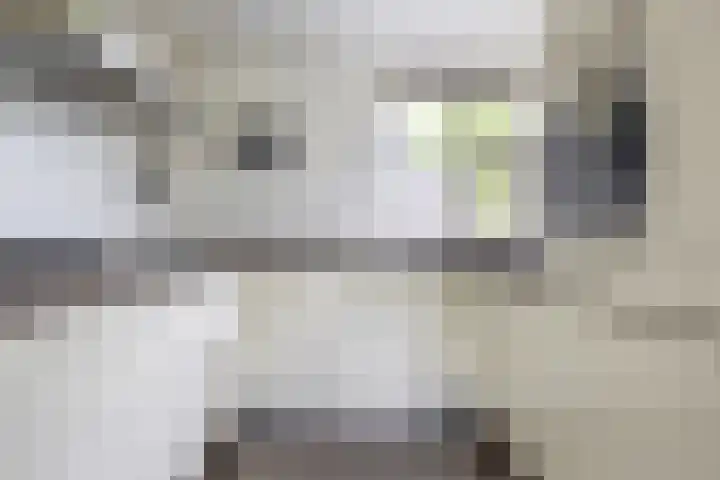 Hollander 10 Wormer thumbnail 16