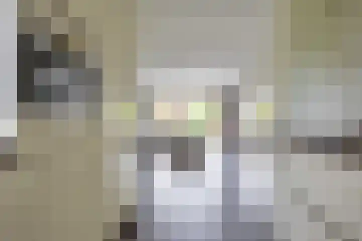 Hollander 10 Wormer thumbnail 17