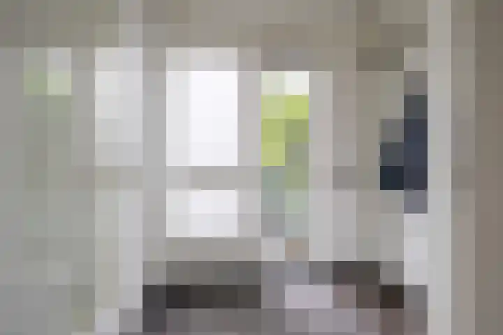 Hollander 10 Wormer thumbnail 18