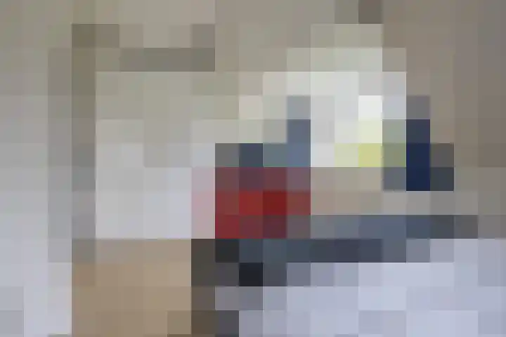 Hollander 10 Wormer thumbnail 25