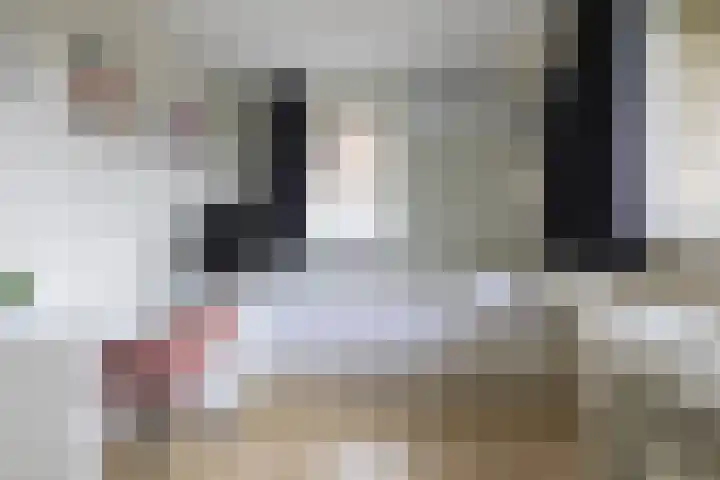 Hollander 10 Wormer thumbnail 26