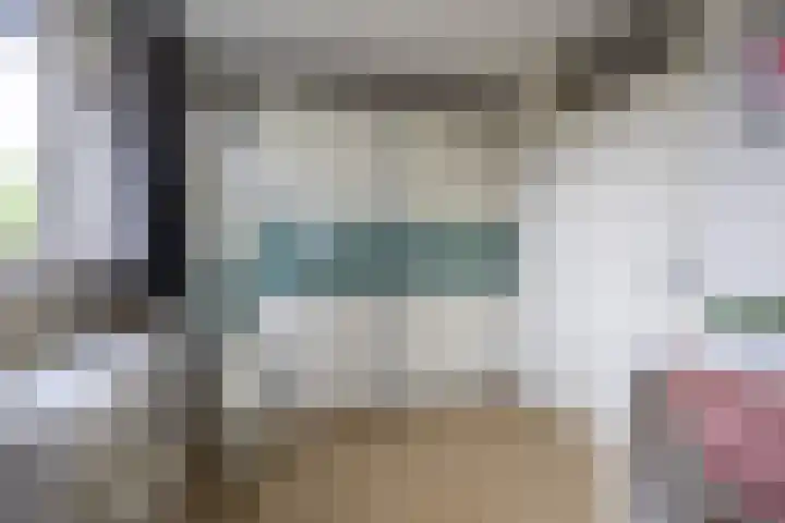 Hollander 10 Wormer thumbnail 27