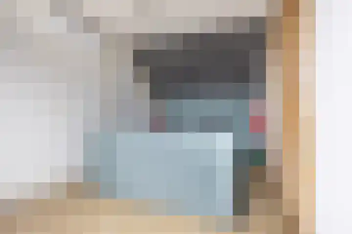 Hollander 10 Wormer thumbnail 31