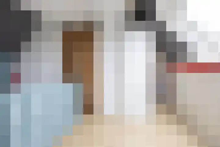 Hollander 10 Wormer thumbnail 32