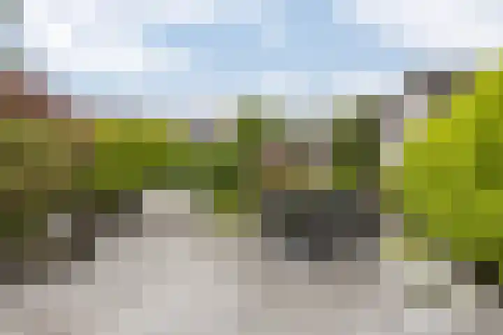 Hollander 10 Wormer thumbnail 34