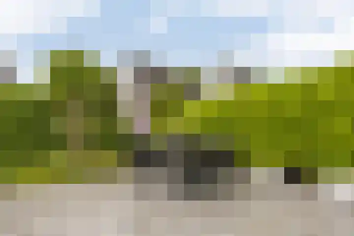 Hollander 10 Wormer thumbnail 35