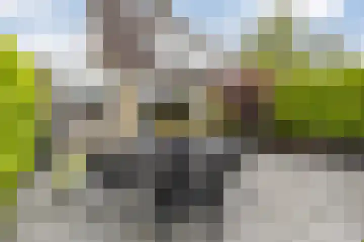 Hollander 10 Wormer thumbnail 36
