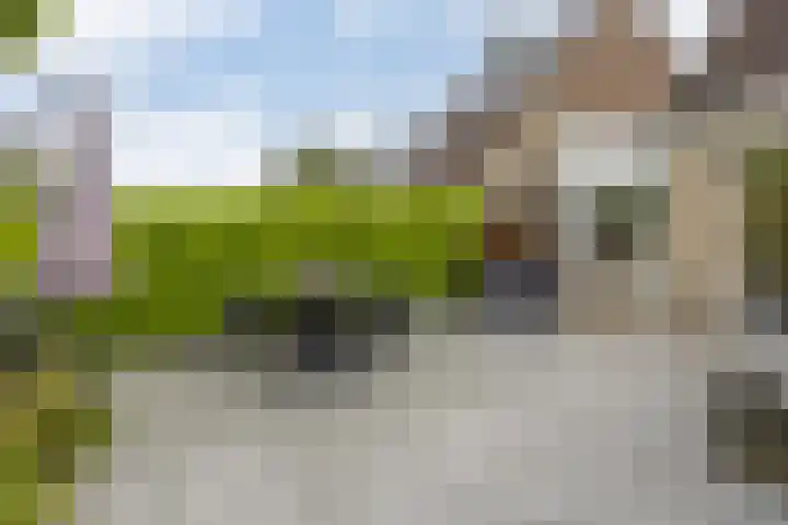 Hollander 10 Wormer thumbnail 37