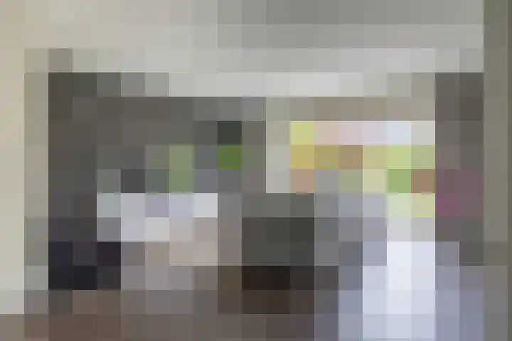 Hollander 10 Wormer thumbnail 4