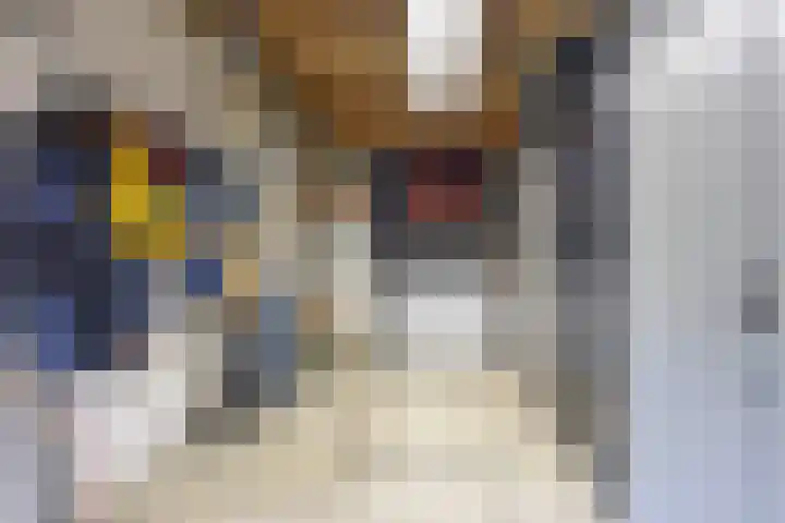 Hollander 10 Wormer thumbnail 40