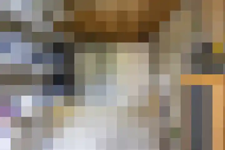 Hollander 10 Wormer thumbnail 41