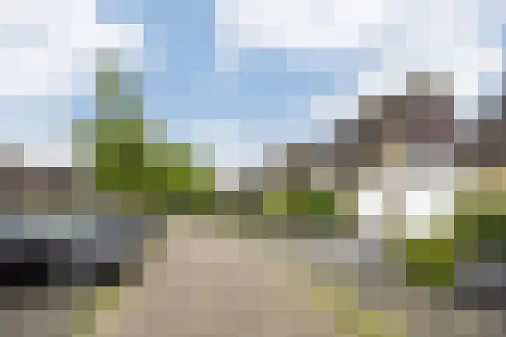 Hollander 10 Wormer thumbnail 43