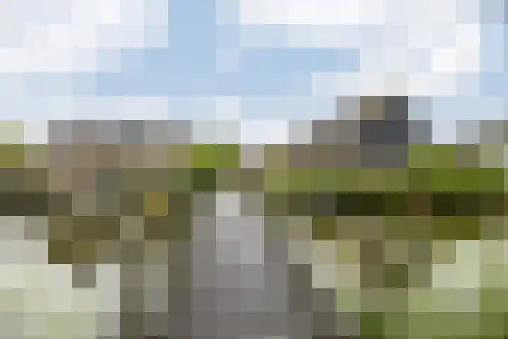 Hollander 10 Wormer thumbnail 45