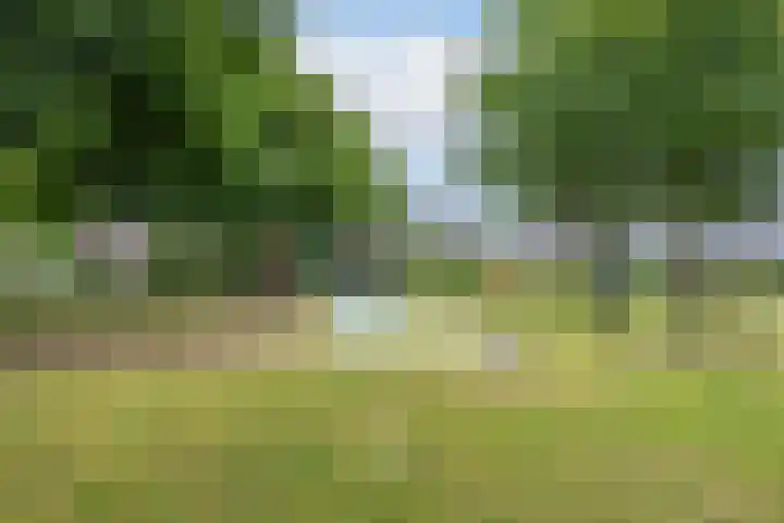 Hollander 10 Wormer thumbnail 46