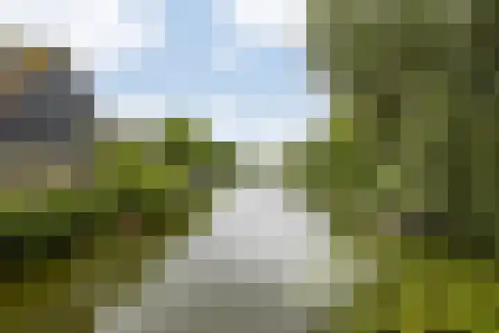 Hollander 10 Wormer thumbnail 7