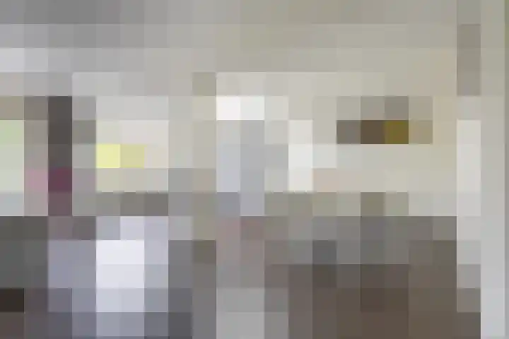 Hollander 10 Wormer thumbnail 8