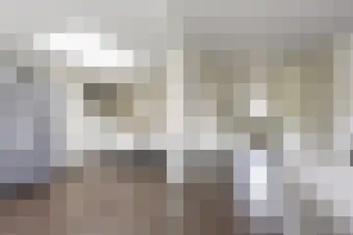 Hollander 10 Wormer thumbnail 9