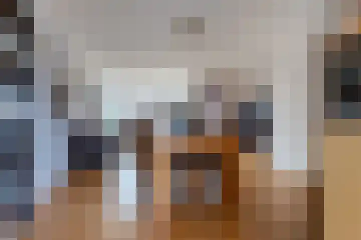 Hollander 40 Wormer thumbnail 12