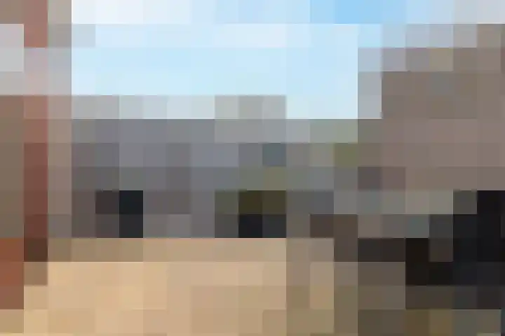 Hollander 40 Wormer thumbnail 16