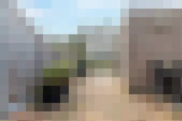 Hollander 40 Wormer thumbnail 17