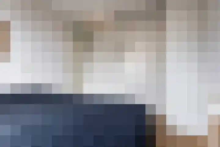 Hollander 40 Wormer thumbnail 21