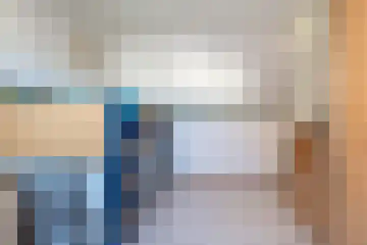 Hollander 40 Wormer thumbnail 22