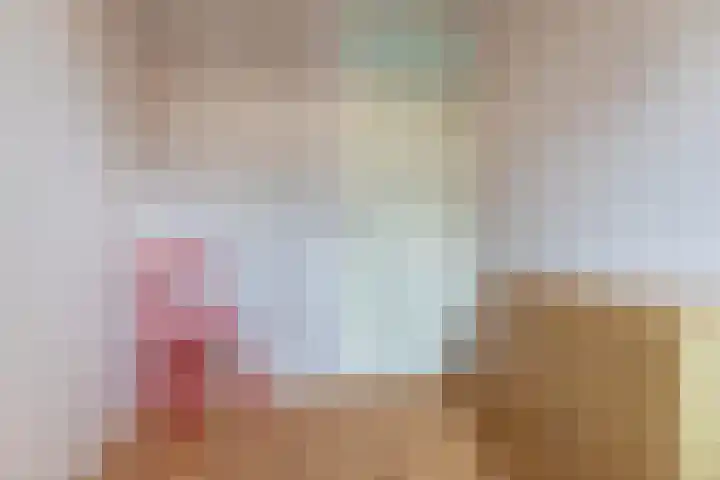 Hollander 40 Wormer thumbnail 25