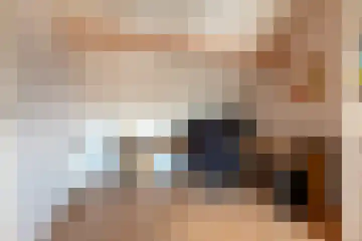 Hollander 40 Wormer thumbnail 29