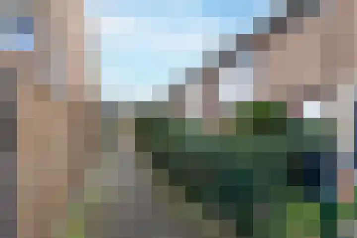 Hollander 40 Wormer thumbnail 31