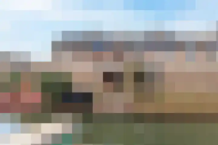 Hollander 40 Wormer thumbnail 33