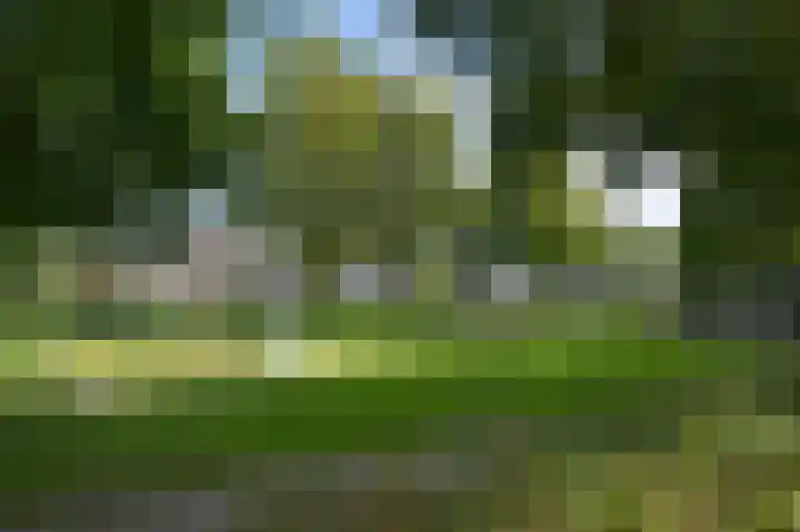 Hollander 40 Wormer thumbnail 36