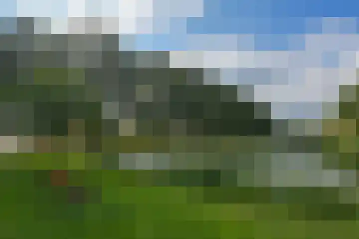 Hollander 40 Wormer thumbnail 37