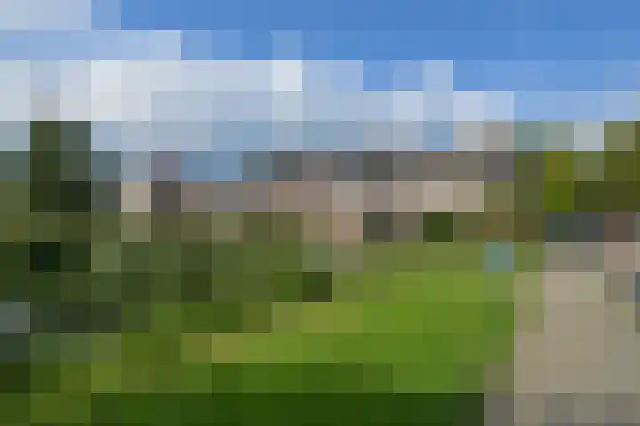 Hollander 40 Wormer thumbnail 38