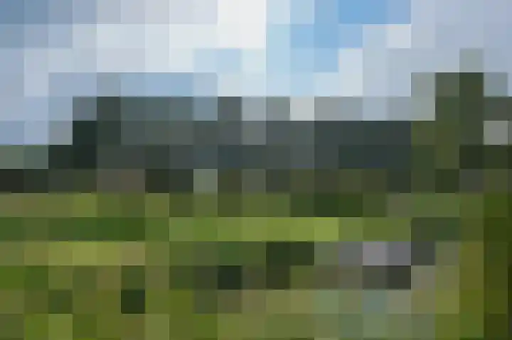 Hollander 40 Wormer thumbnail 39