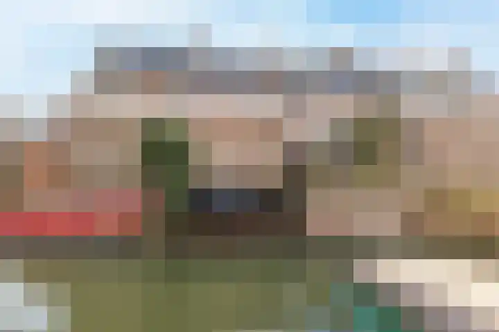 Hollander 40 Wormer thumbnail 4