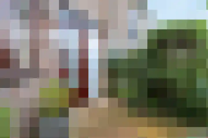 Hollander 40 Wormer thumbnail 5