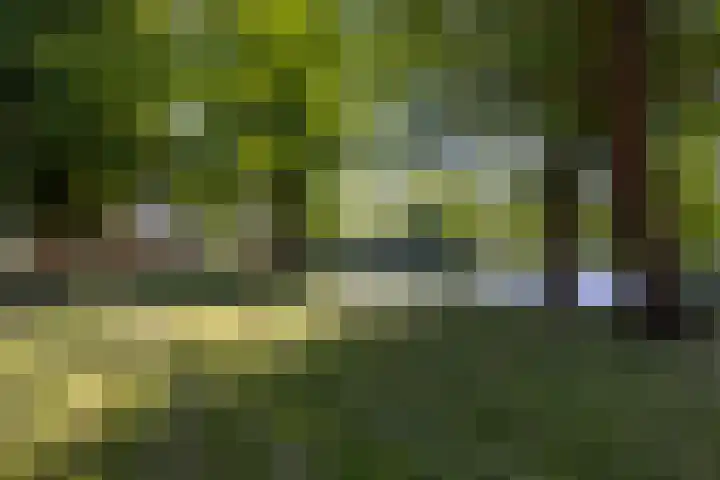Hollands End 69 Ankeveen thumbnail 58