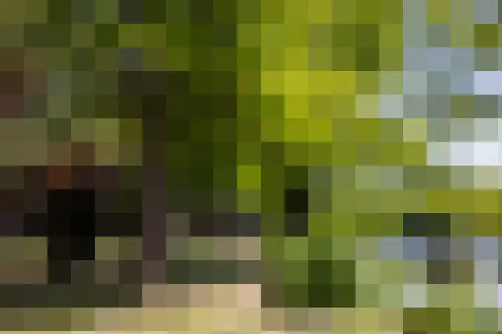 Hollands End 69 Ankeveen thumbnail 62