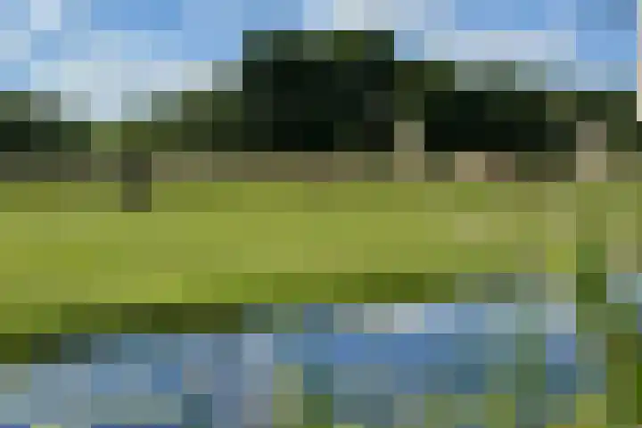 Hollands End 69 Ankeveen thumbnail 64