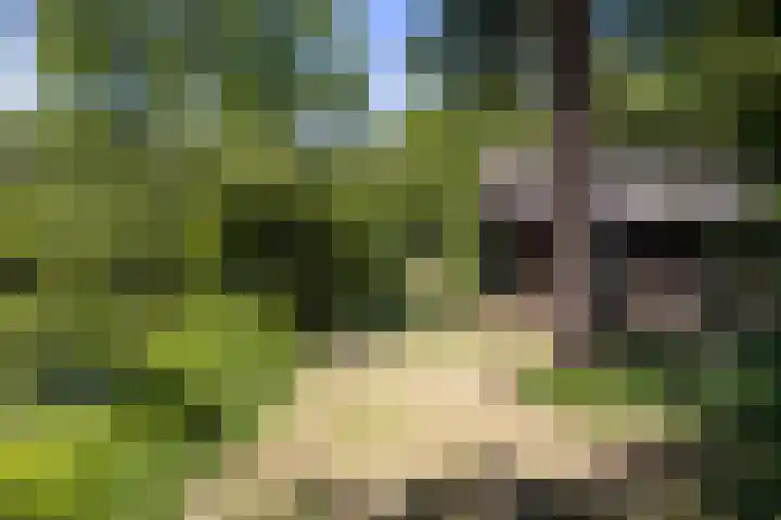 Hollands End 69 Ankeveen thumbnail 69