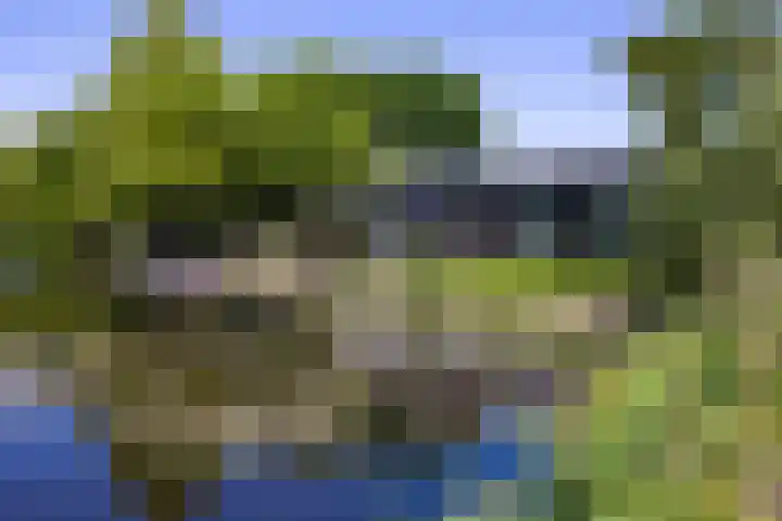 Hollands End 69 Ankeveen thumbnail 77