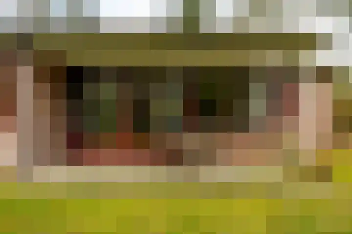Holle Drift 77 Schipborg thumbnail 31
