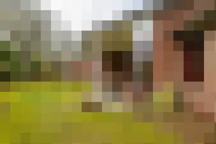 Holle Drift 77 Schipborg thumbnail 34