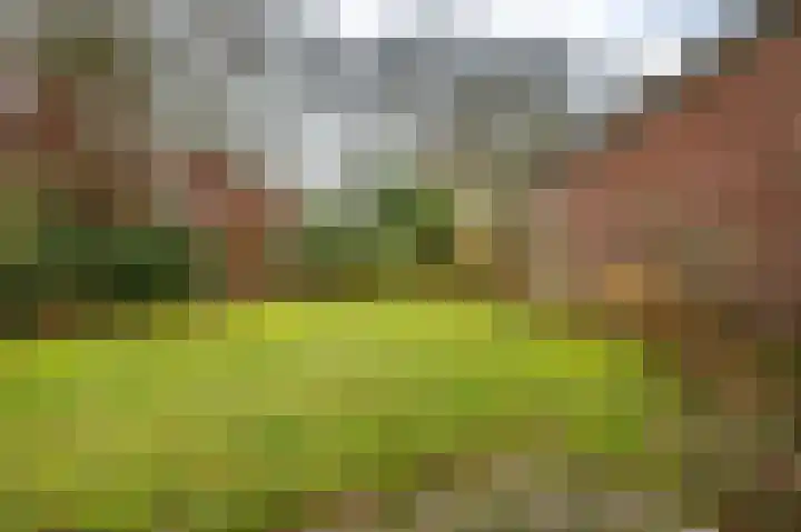 Holle Drift 77 Schipborg thumbnail 37