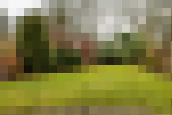 Holle Drift 77 Schipborg thumbnail 38